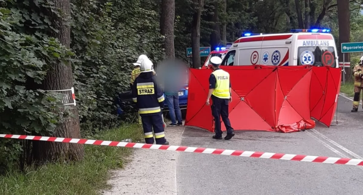 fot. policja Kamienna Góra
