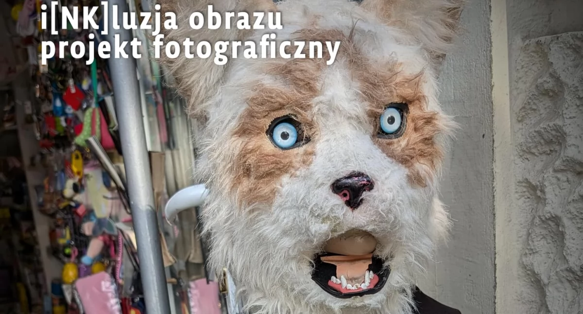 Inne wydarzenia kulturalne, kiczu bibliotece - zdjęcie, fotografia