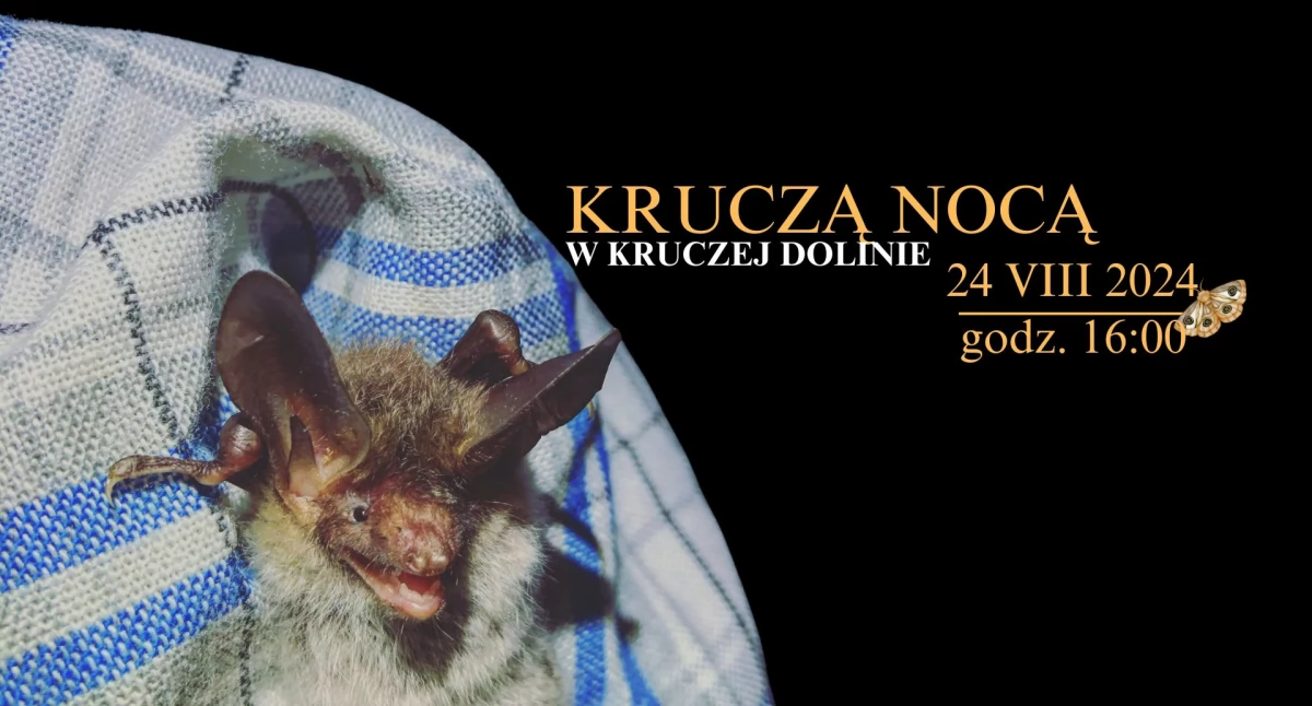 Ekologia, przyroda, Krucza Nocą czyli dolinie nocą słychać! - zdjęcie, fotografia