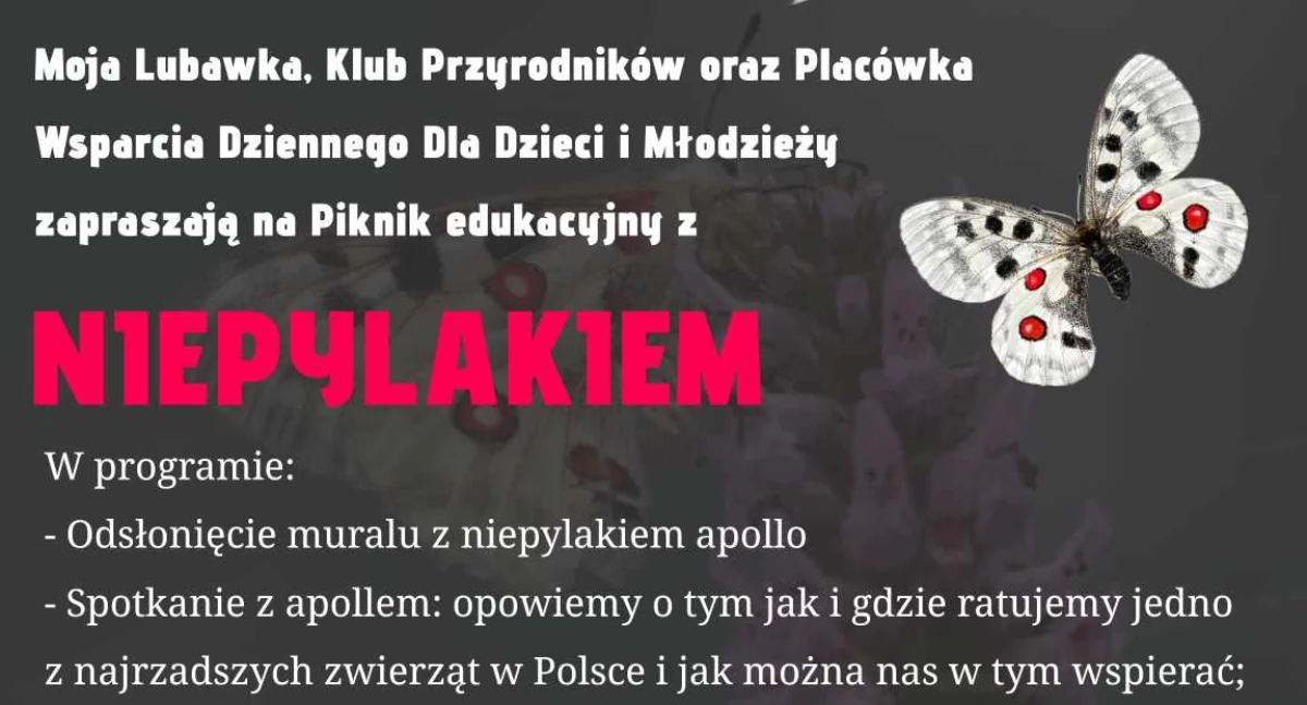 Ekologia, przyroda, Piknik Niepylakiem centrum Lubawki - zdjęcie, fotografia