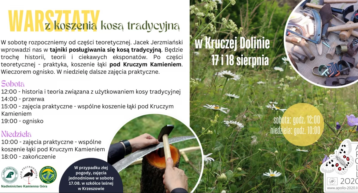 Ekologia, przyroda, Warsztaty koszenia kosą tradycyjną - zdjęcie, fotografia