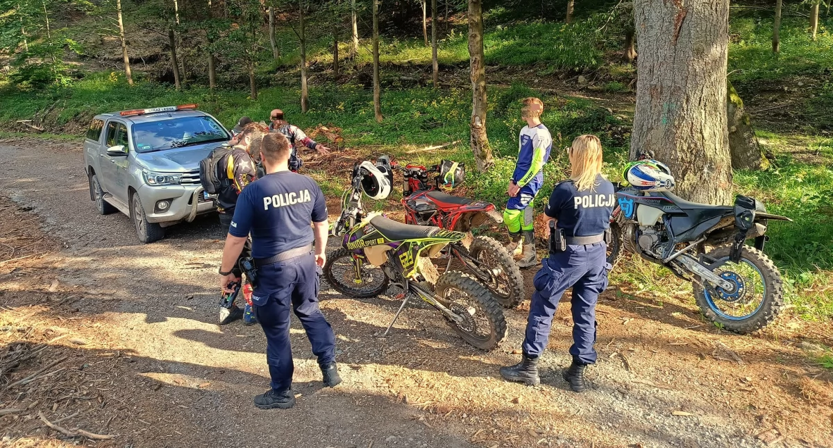 Ekologia, przyroda, Kolejne mandaty Lasockim Grzbiecie - zdjęcie, fotografia