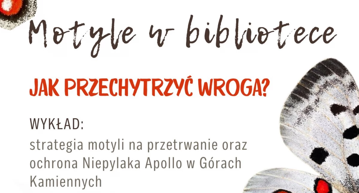 Ekologia, przyroda, motylu bibliotece - zdjęcie, fotografia
