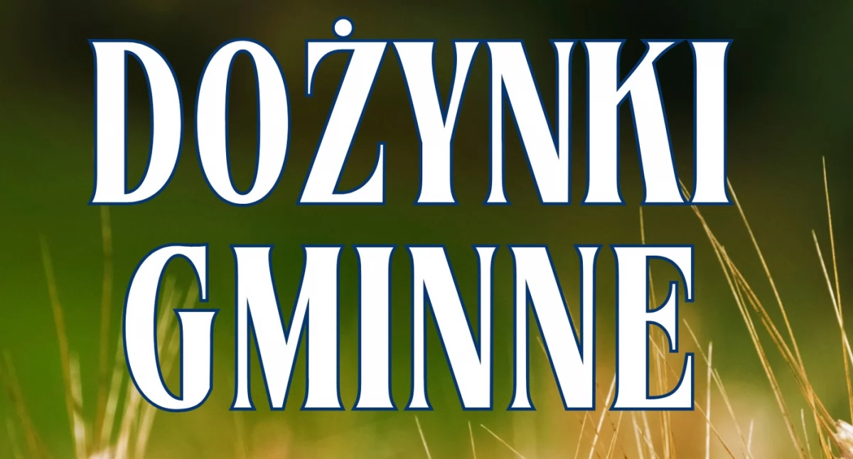 Rękodzieło, jarmarki, festyny, Dożynki gminy Kamienna Góra - zdjęcie, fotografia