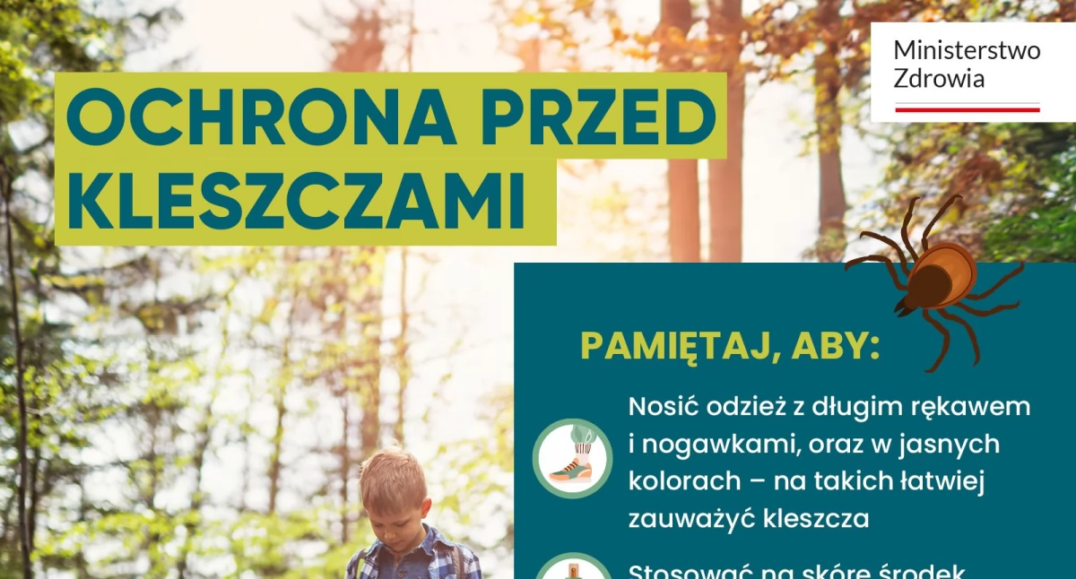 Zdrowie, ukąsi kleszcz - zdjęcie, fotografia