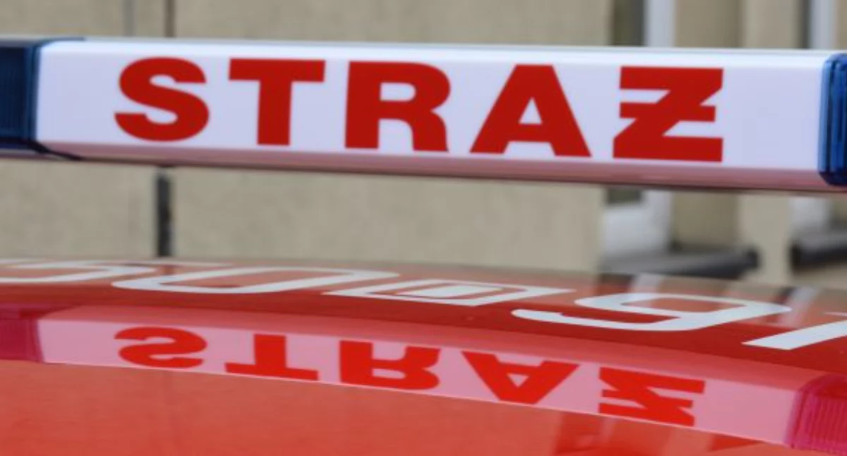 Straż pożarna, Leszczyniec - zdjęcie, fotografia