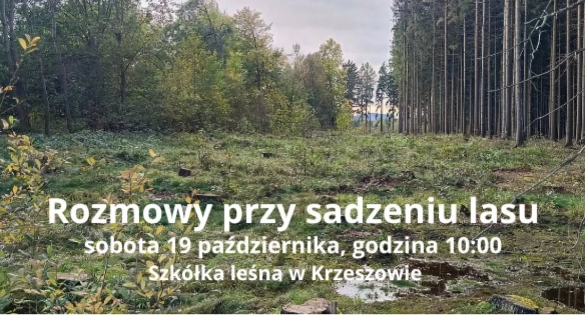 Ekologia, przyroda, Sadzenie - zdjęcie, fotografia