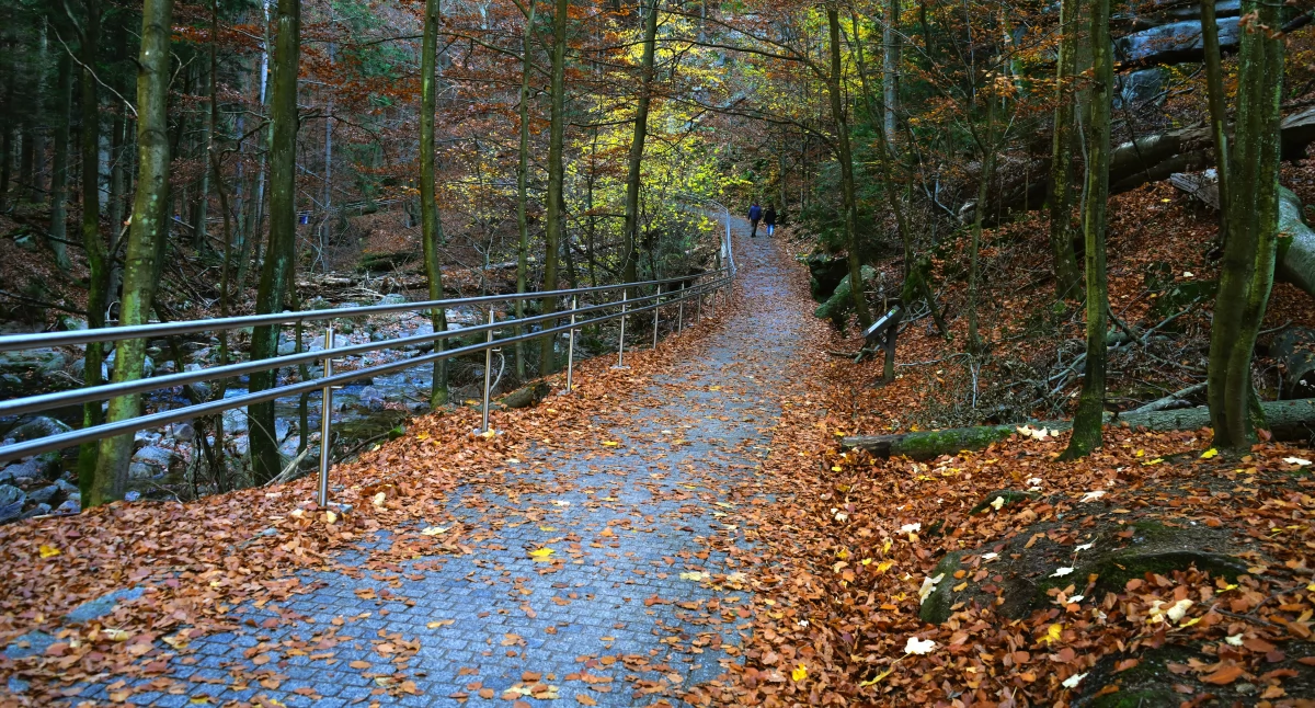 Fot. Karkonoski Park Narodowy