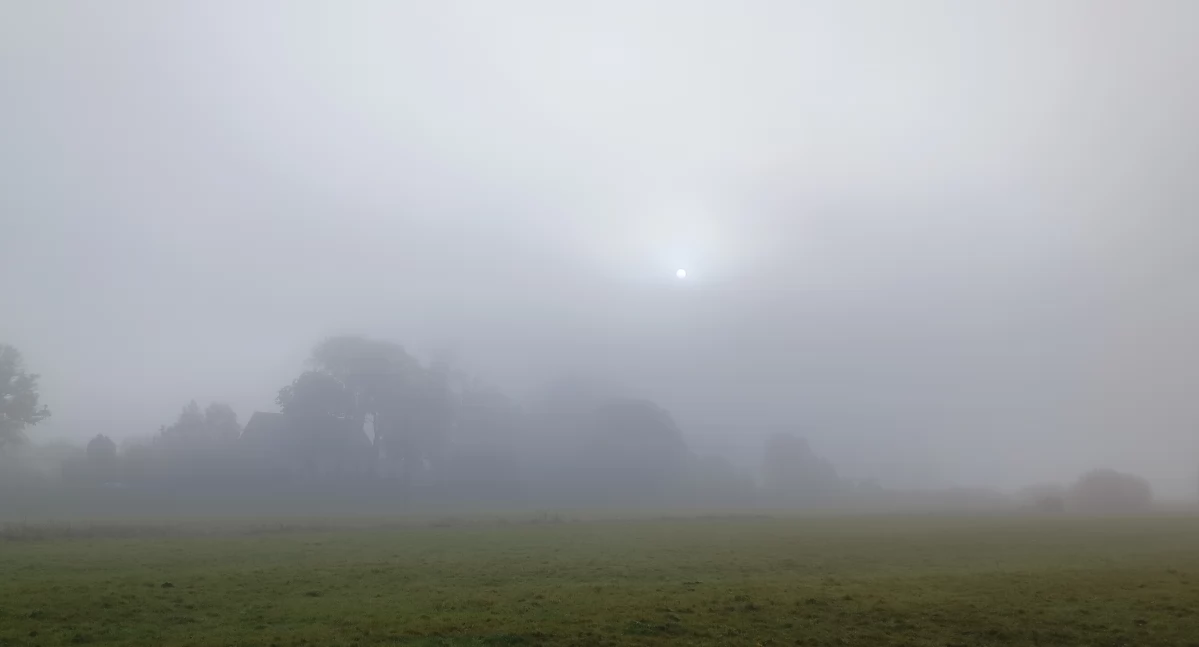 Pogoda, Gęsta mgła - zdjęcie, fotografia