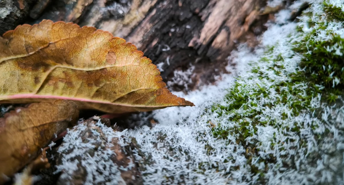 Pogoda, Pierwszy - zdjęcie, fotografia