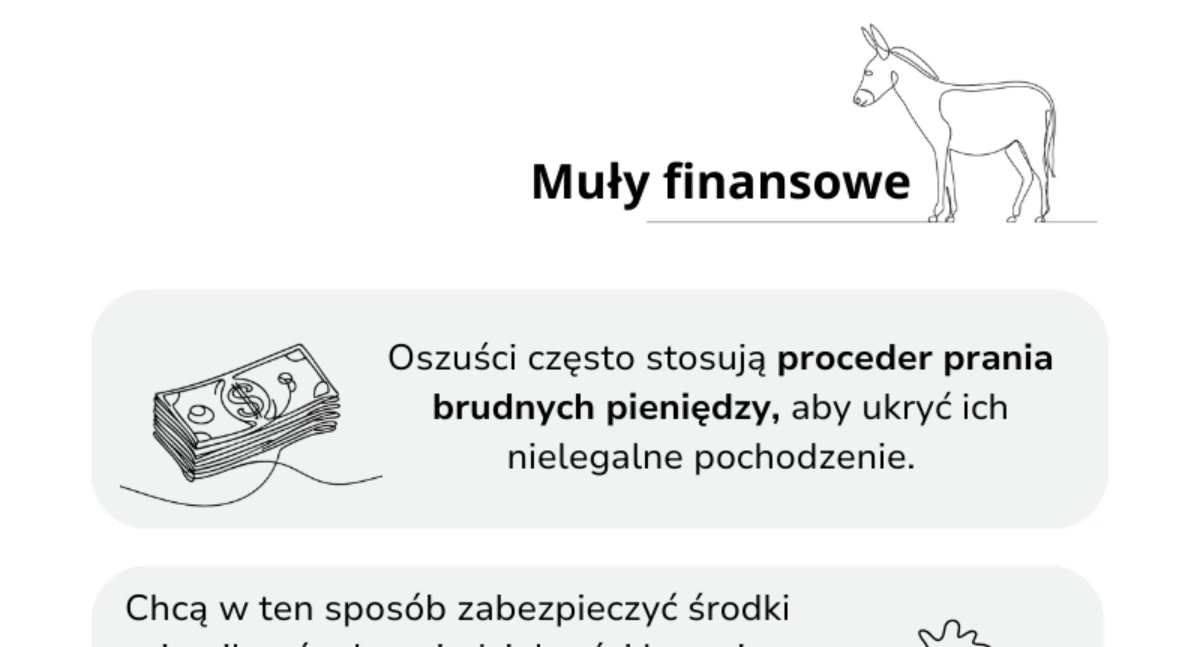 Ostrzeżenia, muły finansowe dlaczego chcesz stać jednym - zdjęcie, fotografia