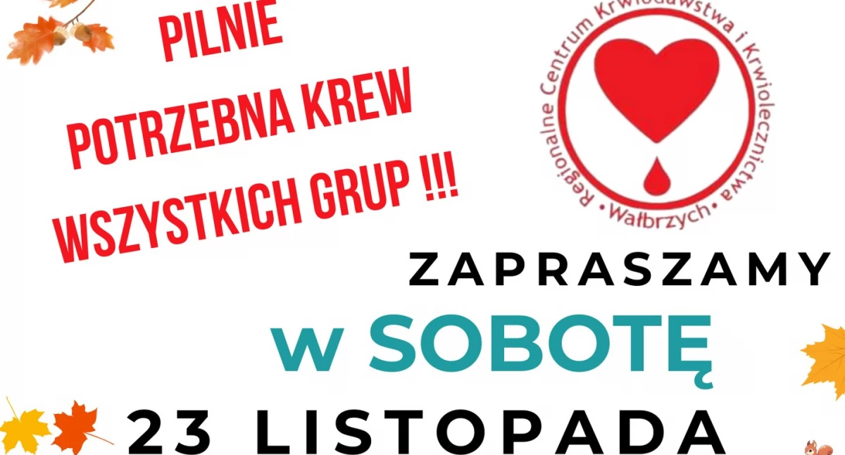 Zdrowie, listopada sobota RCKiK - zdjęcie, fotografia