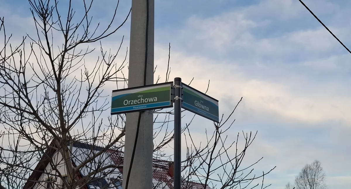 Samorząd, Ulice Pisarzowicach - zdjęcie, fotografia