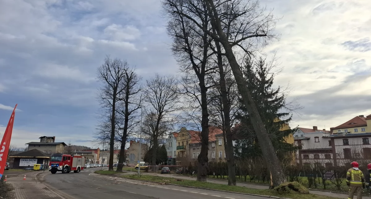Pogoda, Zamknięta Spacerowa - zdjęcie, fotografia