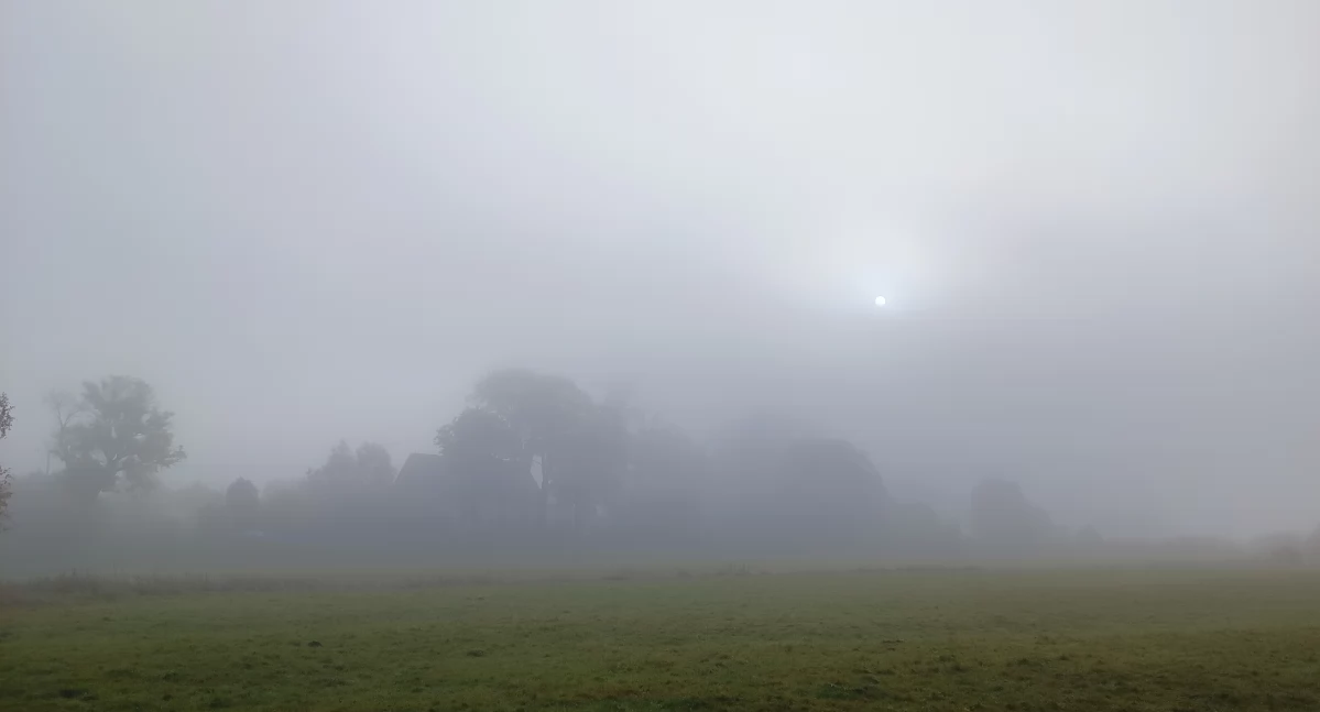 Pogoda, Gęsta mgła - zdjęcie, fotografia