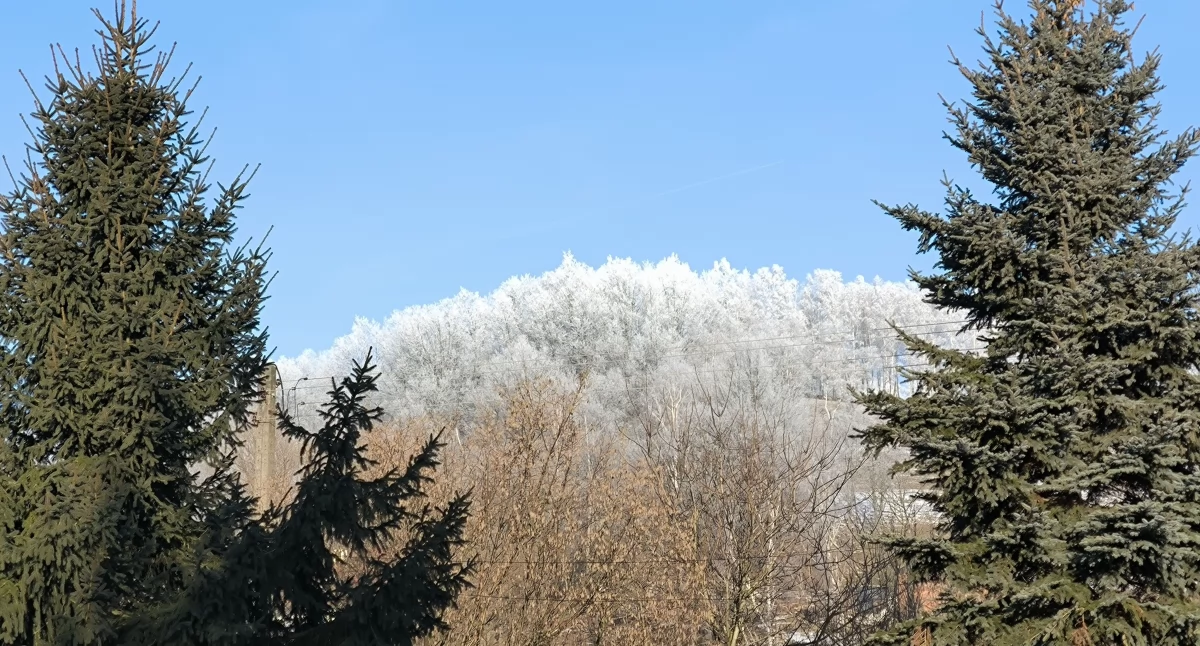 Ekologia, przyroda, Piękne zimowe widoki - zdjęcie, fotografia