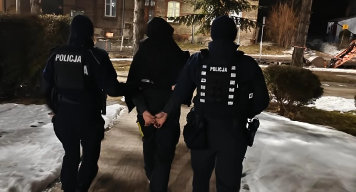 Policja, Policjanci zwrócili uwagę nerwowość - zdjęcie, fotografia