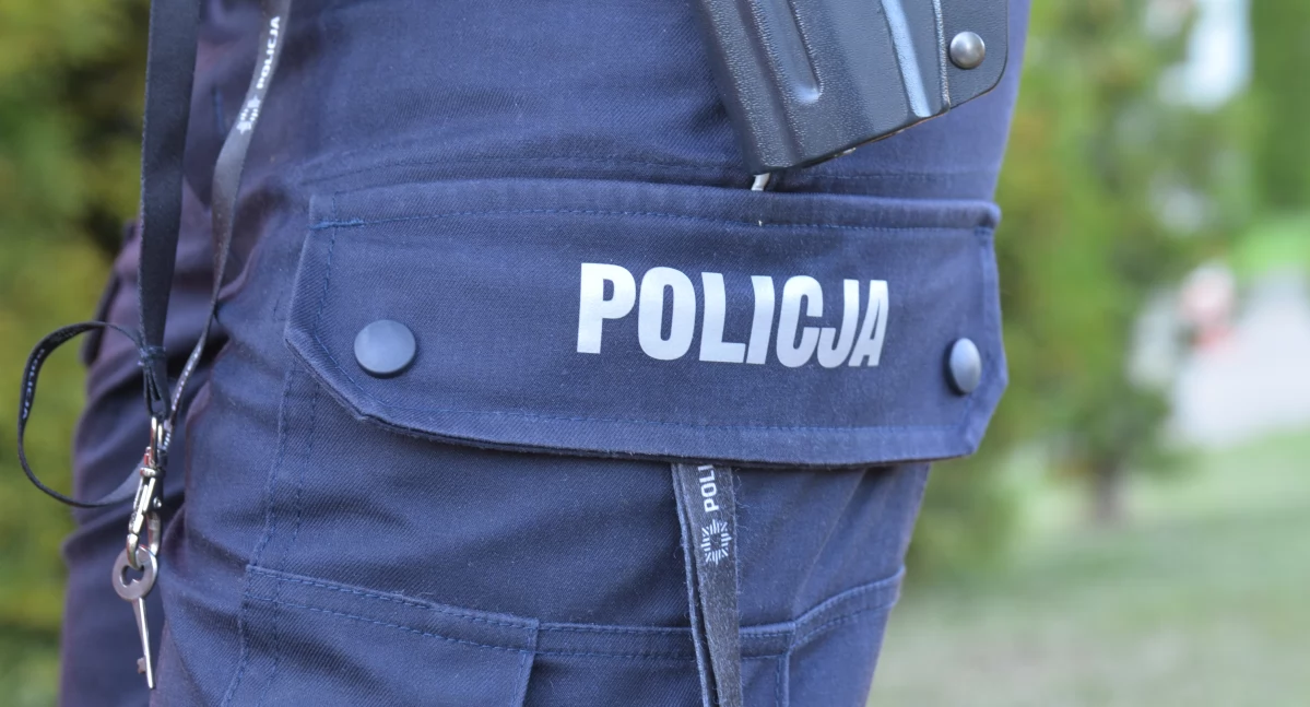 Policja, Prawo umożliwia szybką reakcję - zdjęcie, fotografia