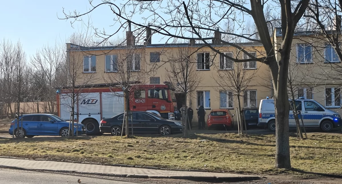 Pożary, Akcja ratowników Kamiennej Górze - zdjęcie, fotografia