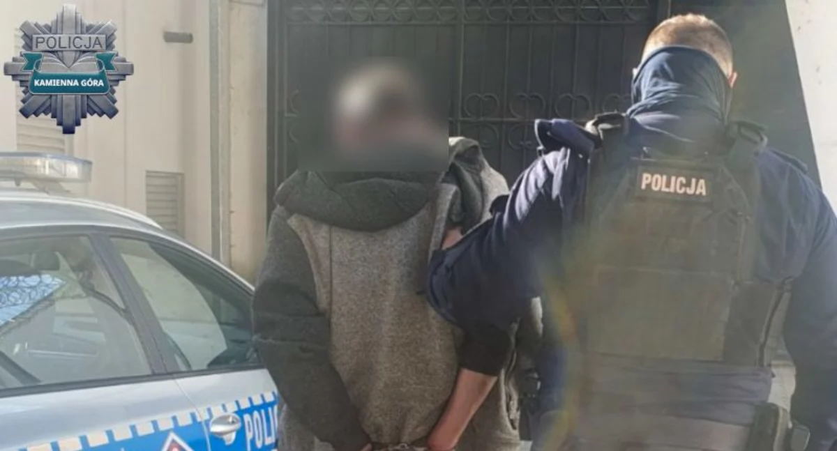 Policja, Niespodziewany koniec interwencji kradzieży - zdjęcie, fotografia