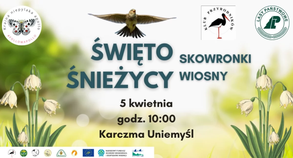 Ekologia, przyroda, Święto Śnieżycy Skowronki wiosny - zdjęcie, fotografia