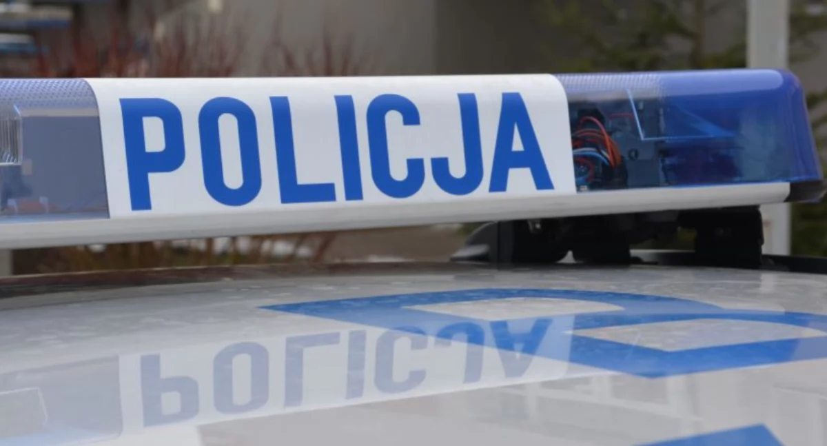 Policja, Usłyszeli zarzuty przyznają - zdjęcie, fotografia