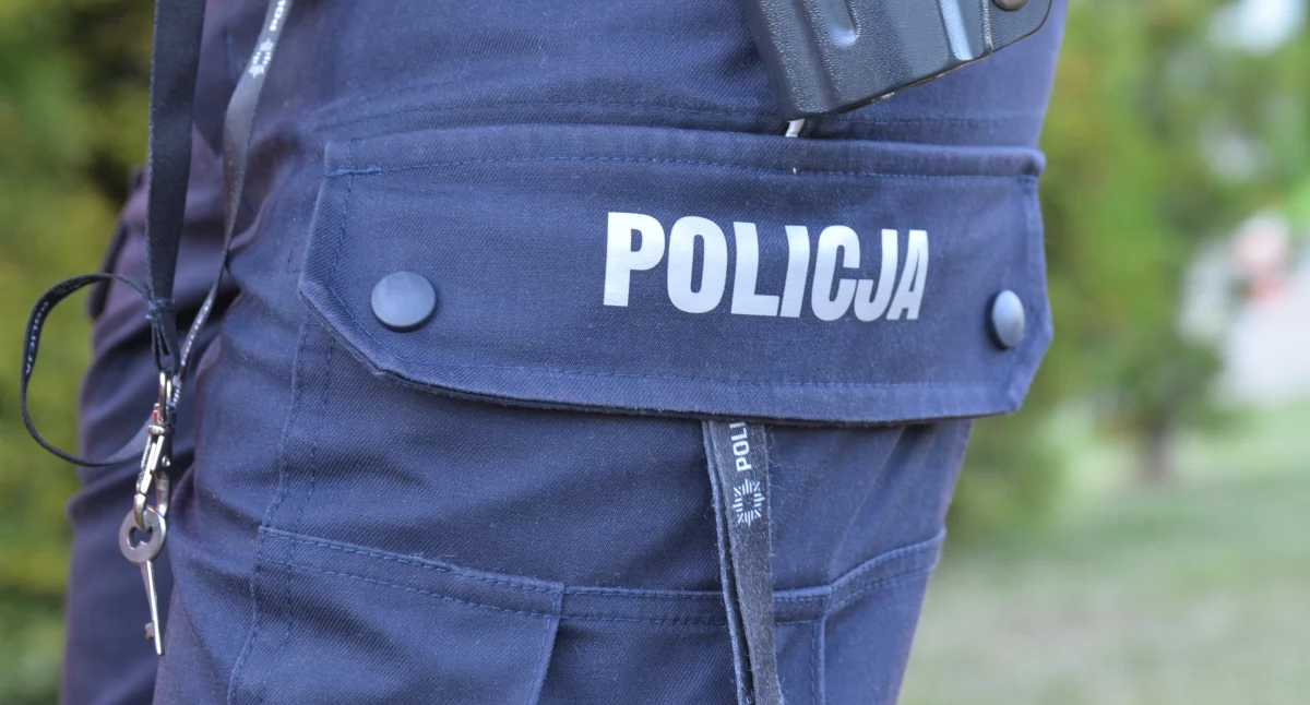 Policja, Odpowie znęcanie - zdjęcie, fotografia