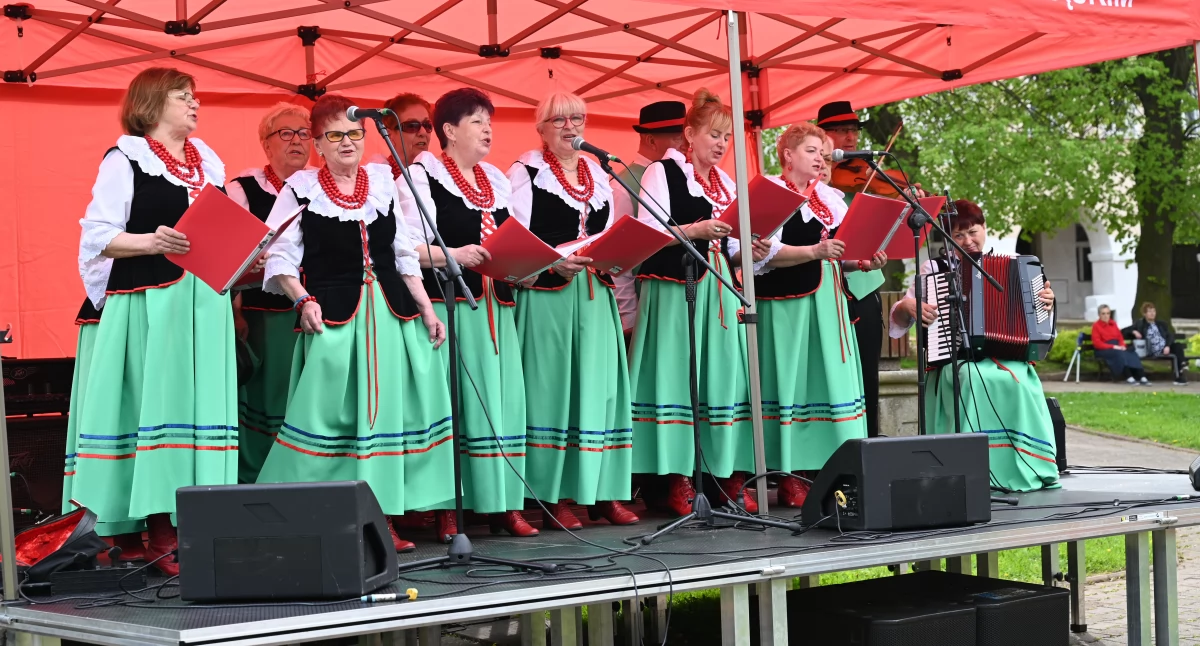 Inne wydarzenia kulturalne, Piknik rodzinny Chełmsku Śląskim - zdjęcie, fotografia