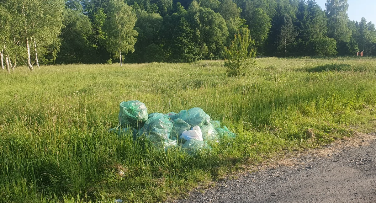 Ekologia, przyroda, Sterta śmieci - zdjęcie, fotografia