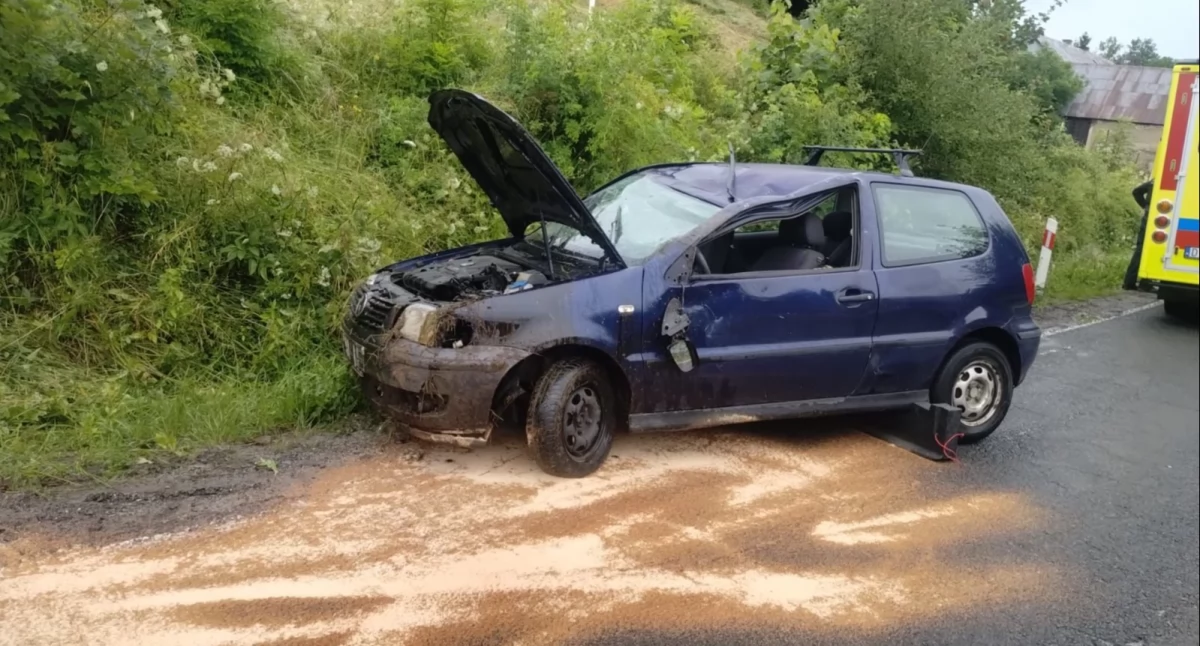 fot. PSP Kamienna Góra / sekc. Dawid Figura