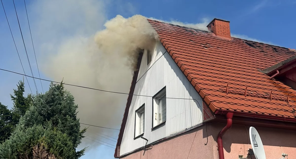 fot. PSP Kamienna Góra / sekc. Adrian Jaszczur/ mł. asp. Krzysztof Cisowski 