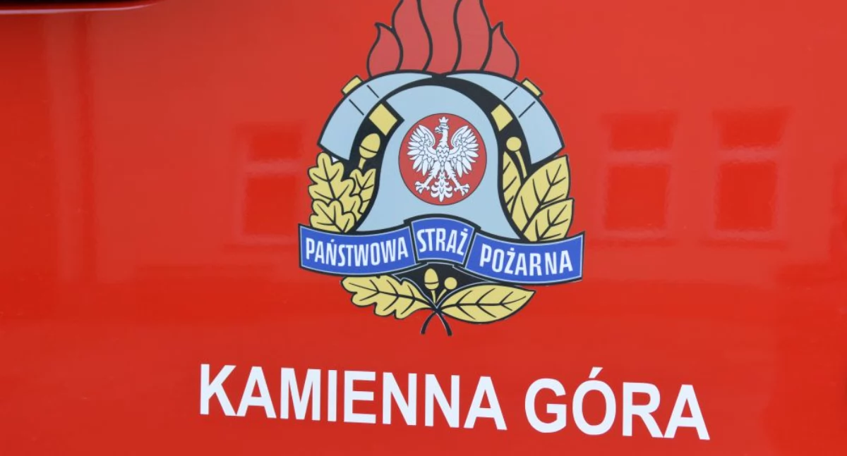 Straż pożarna, Kamiennogórski strażak ratował pasażera samolotu - zdjęcie, fotografia