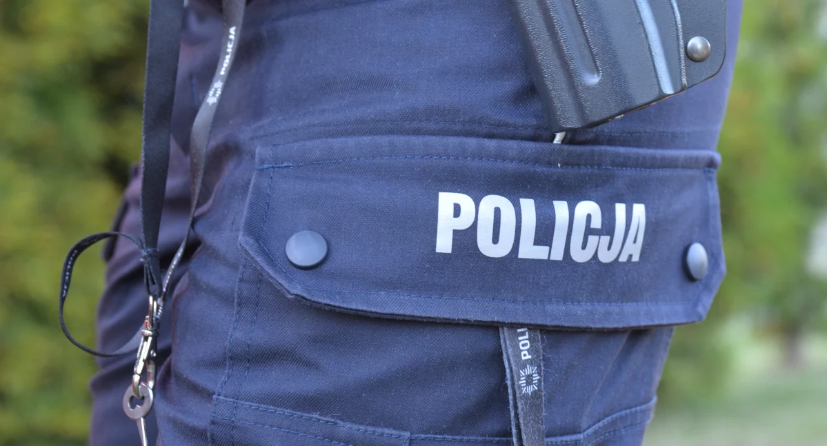 Policja, Kolejny przypadek przemocy - zdjęcie, fotografia