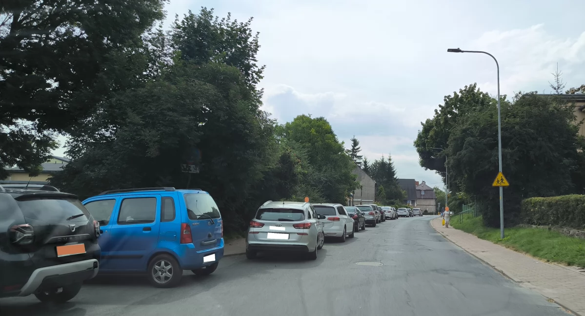 Ostrzeżenia, Widzicie lewej stronie drogi! - zdjęcie, fotografia