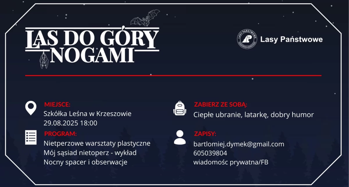 Zwierzęta, góry nogami - zdjęcie, fotografia