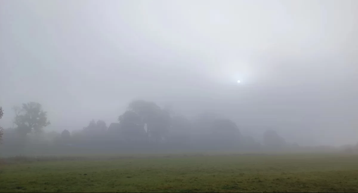 Pogoda, Gęsta mgła - zdjęcie, fotografia