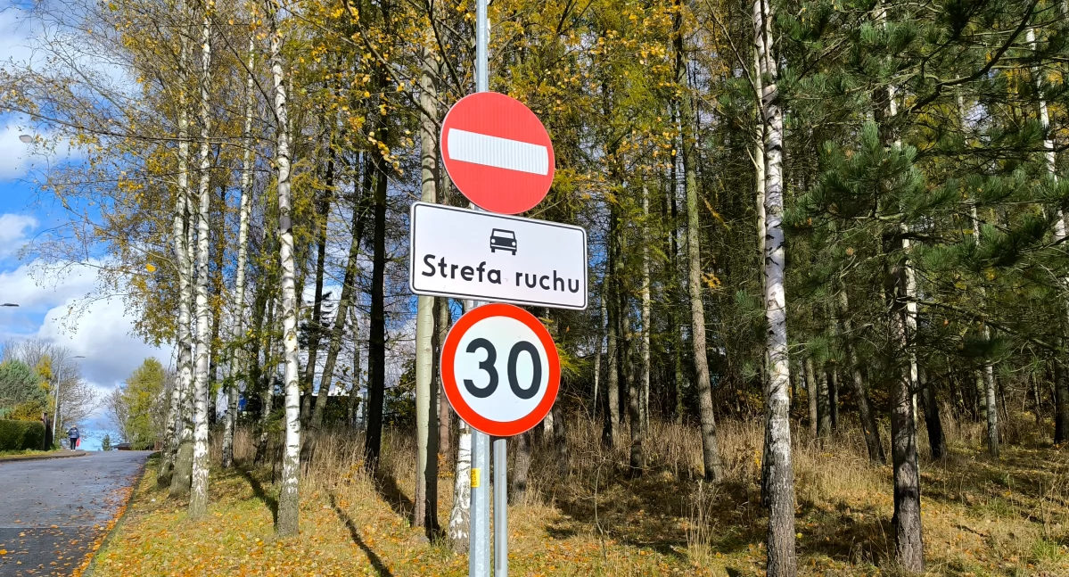 Ostrzeżenia, Zmiany kamiennogórskim cmentarzu - zdjęcie, fotografia