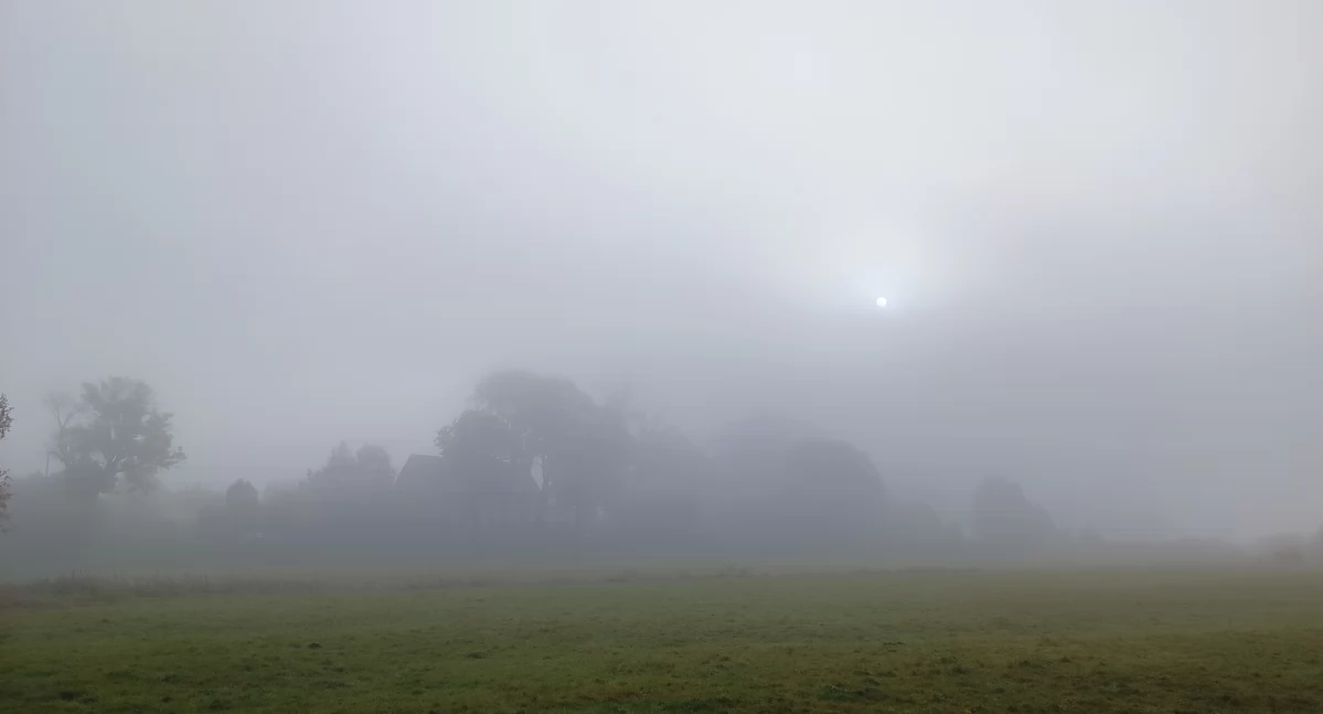 Pogoda, Gęsta mgła - zdjęcie, fotografia