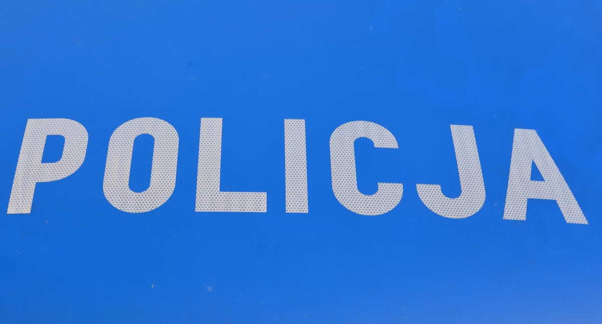 Policja, Wpadł przez stopu - zdjęcie, fotografia