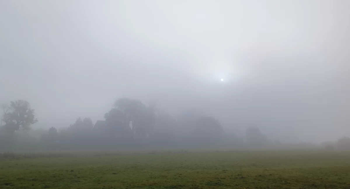 Pogoda, Gęsta mgła - zdjęcie, fotografia