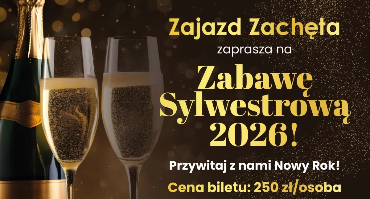 Współpraca, Zabawa Sylwestrowa osoby - zdjęcie, fotografia