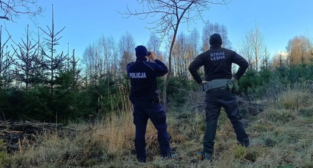 Policja, Pilnują - zdjęcie, fotografia