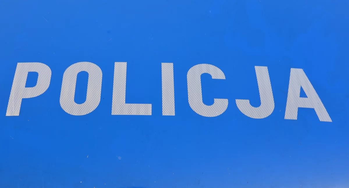 Policja, Pieszy - zdjęcie, fotografia