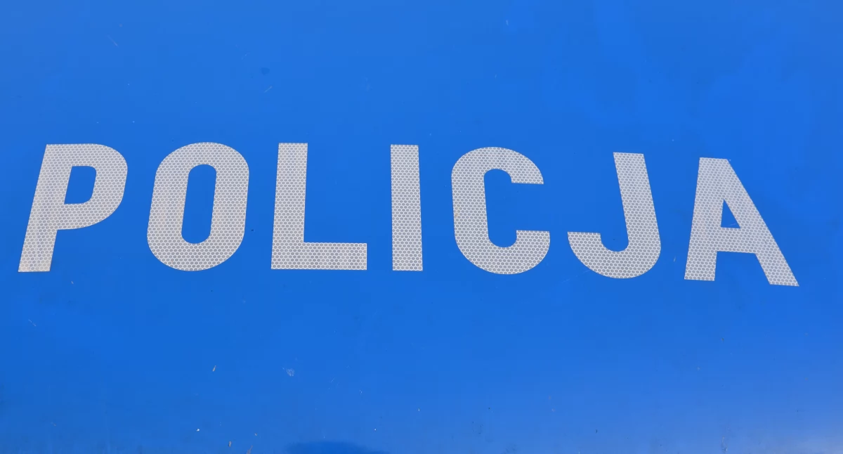 Policja, Wszyscy trzeźwi - zdjęcie, fotografia