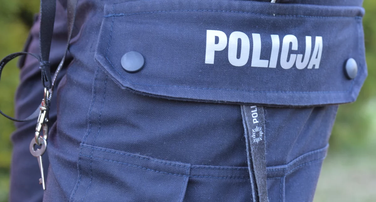 Policja, Podejrzewany kradzieże - zdjęcie, fotografia