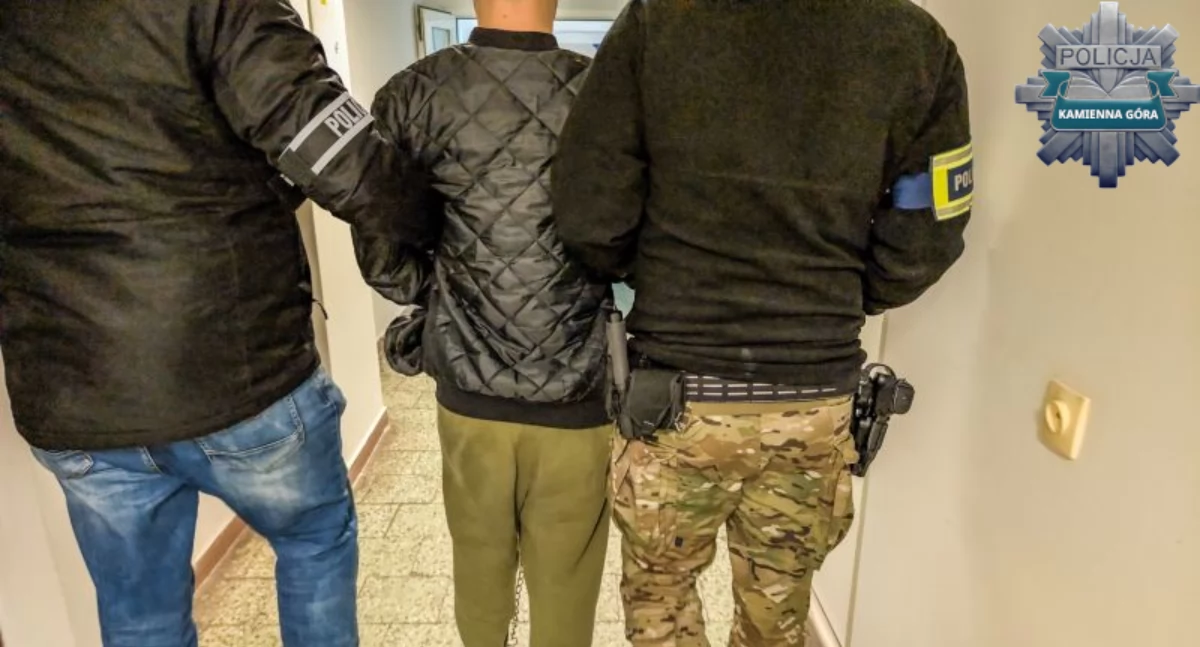 Policja, Jednak trafił aresztu - zdjęcie, fotografia