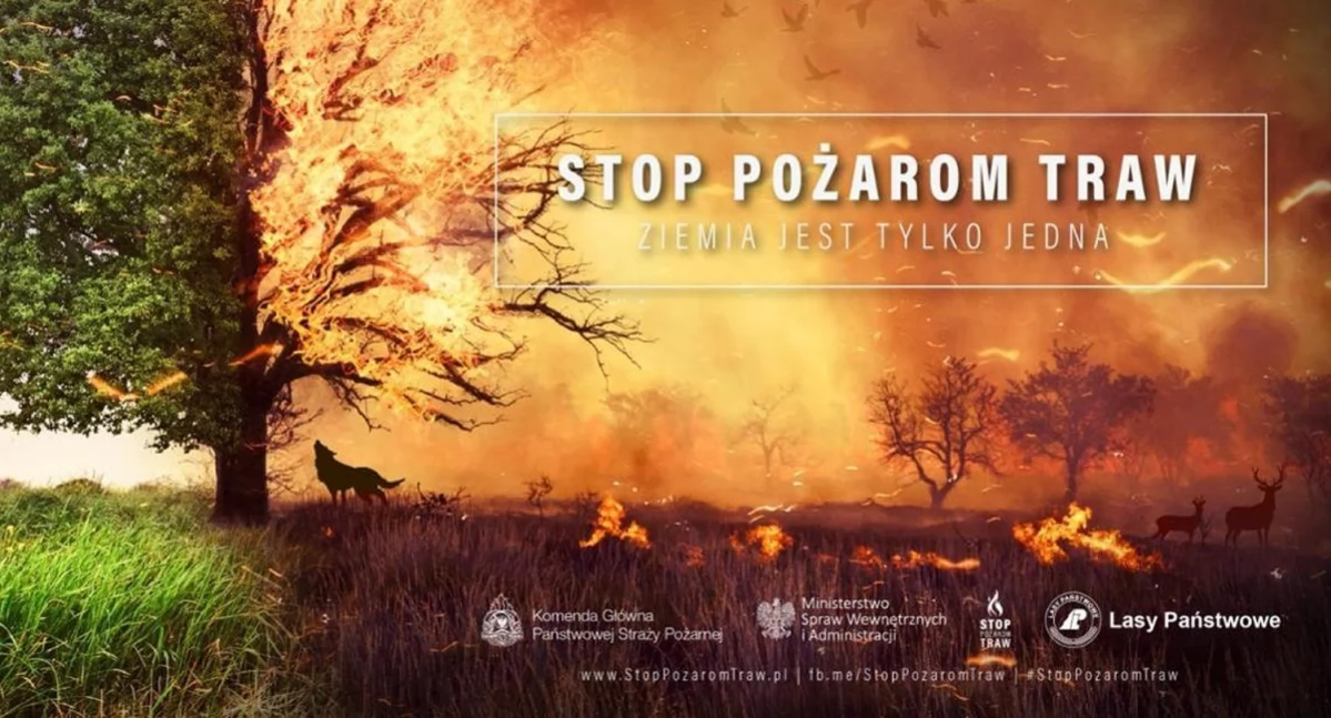 Straż pożarna, pożarom - zdjęcie, fotografia