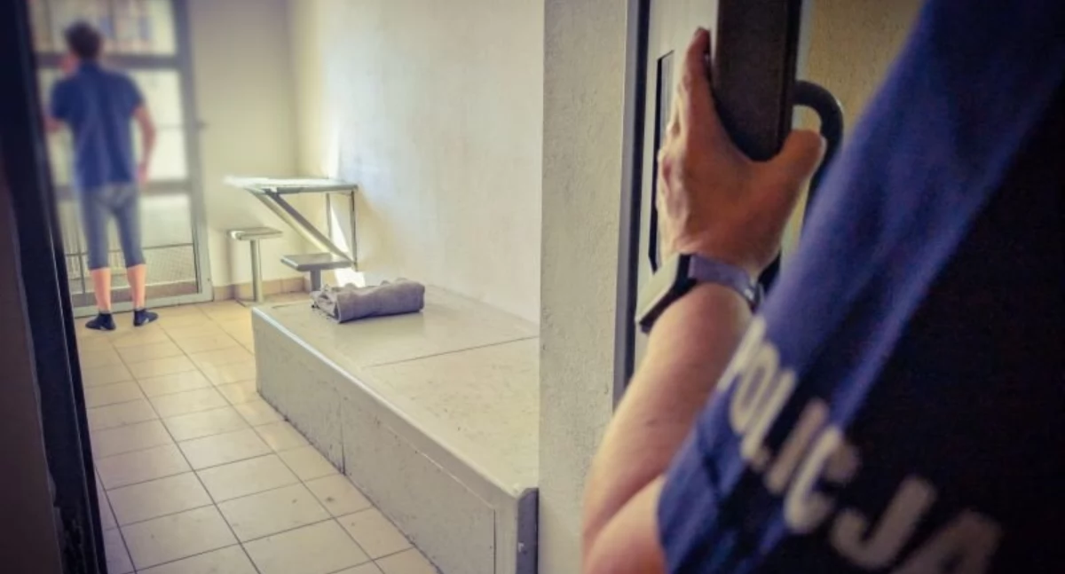 Policja, Sprawca przemocy zatrzymany przez kamiennogórskich policjantów - zdjęcie, fotografia