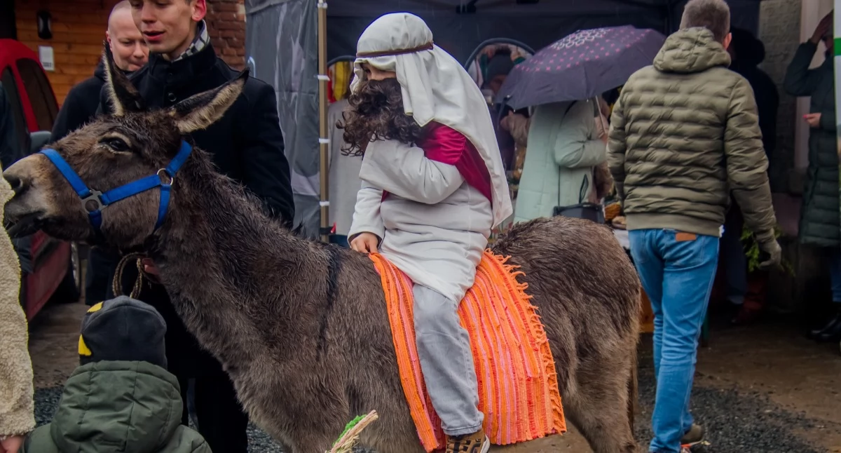 Kościół, religia, Ulicami Kamiennej Góry przeszła procesja Niedzieli Palmowej - zdjęcie, fotografia