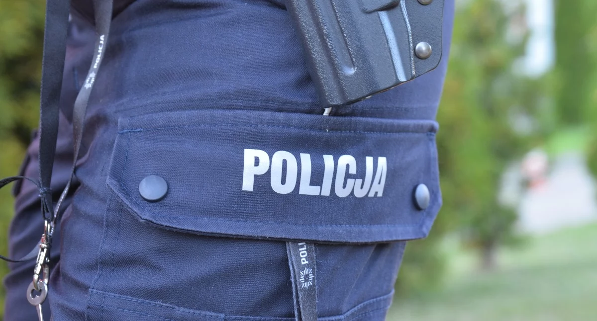 Policja, osoby zatrzymane związku kradzieżami Chełmsku Śląskim - zdjęcie, fotografia